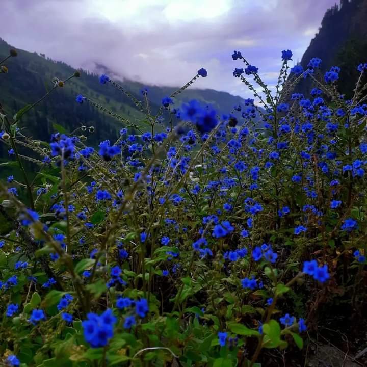 hampta pass track1