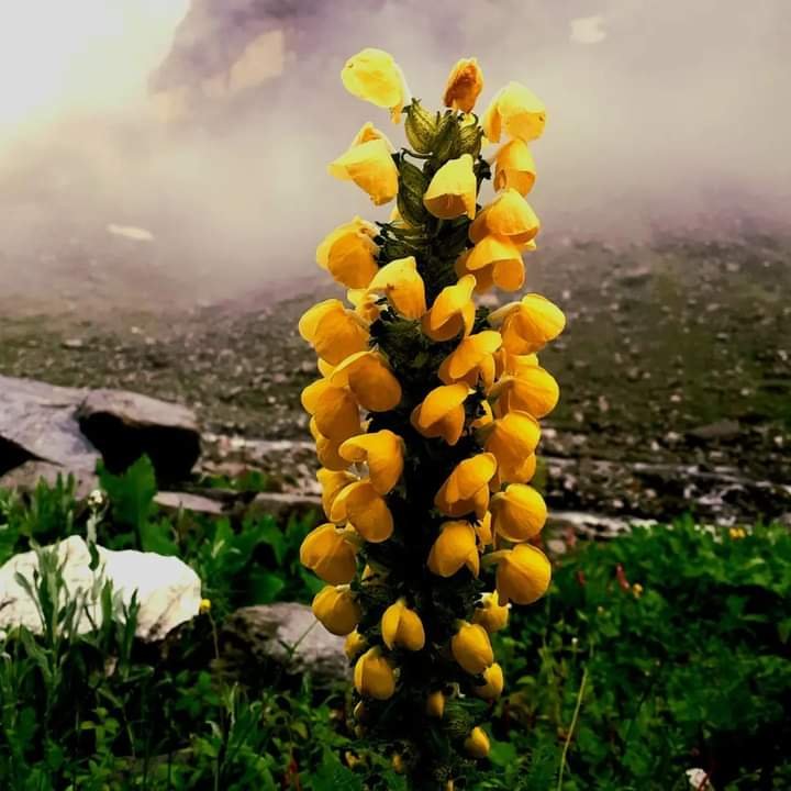 hampta pass track3