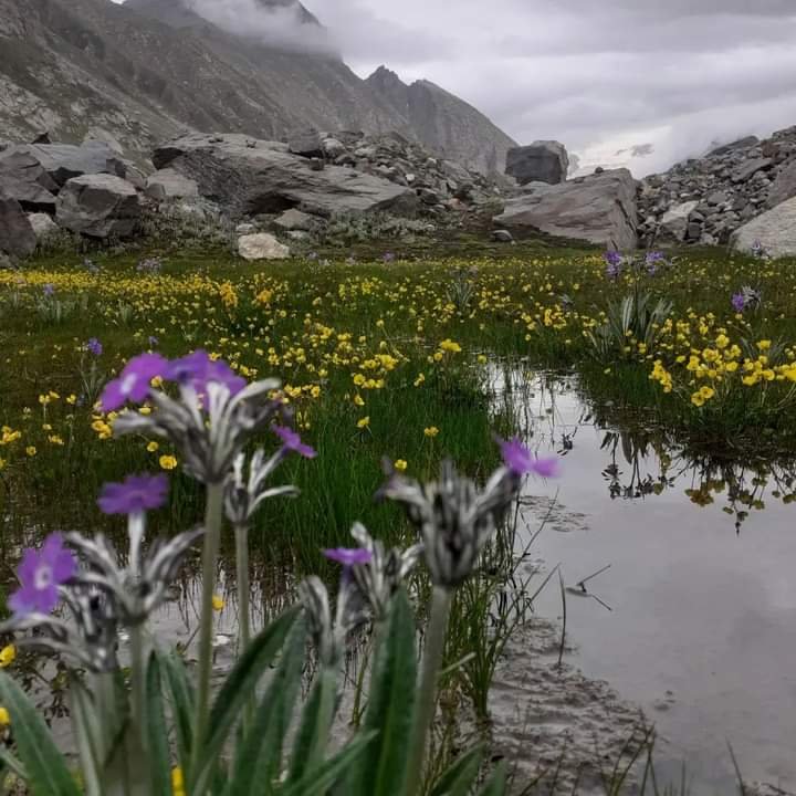 hampta pass track4