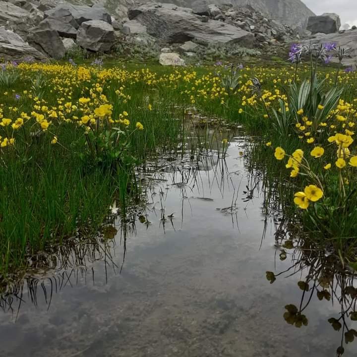 hampta pass track5