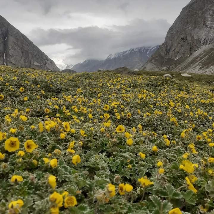 hampta pass track7